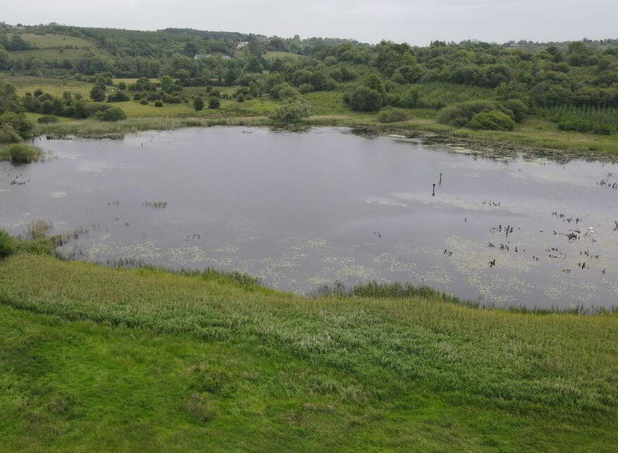 Drumaleague, Kilclare, Keshcarrigan, N41T6P4