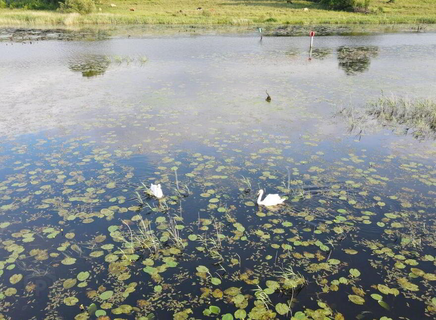 Drumaleague, Kilclare, Keshcarrigan, N41T6P4