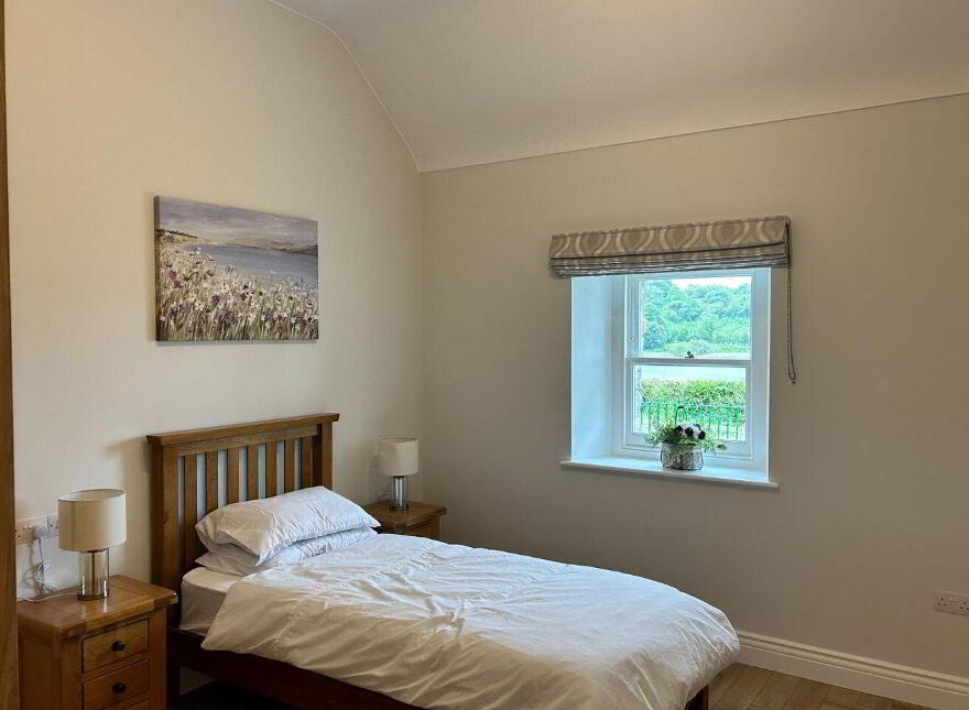 Drumaleague, Kilclare, Keshcarrigan, N41T6P4