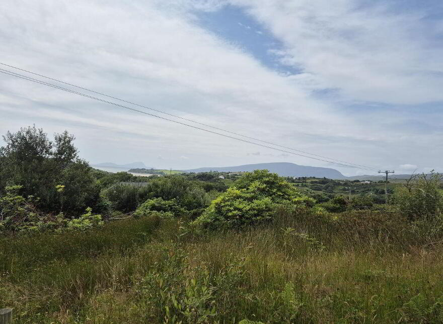 Newfield, Roskeen, Newport