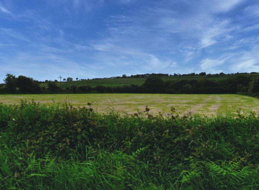 Ballyregan, Carrigtwohill, T45TV20 photo