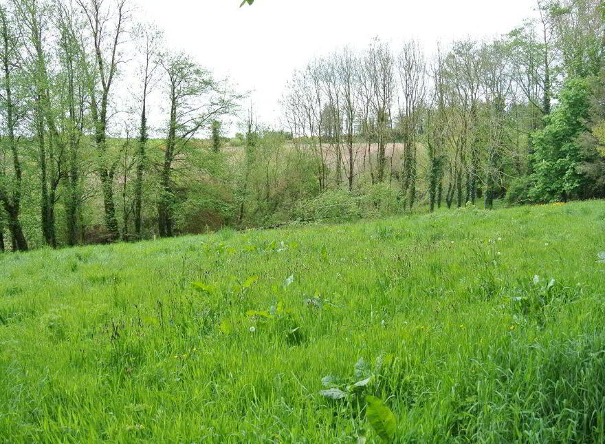 Castletreasure, Douglas, Rathmacullig, T12TDC9