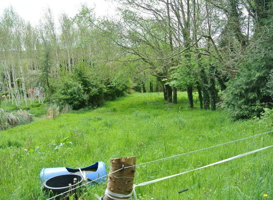 Castletreasure, Douglas, Rathmacullig, T12TDC9