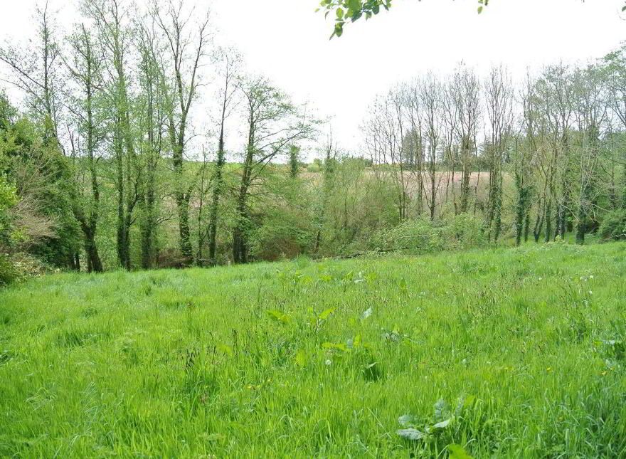 Castletreasure, Douglas, Rathmacullig, T12TDC9
