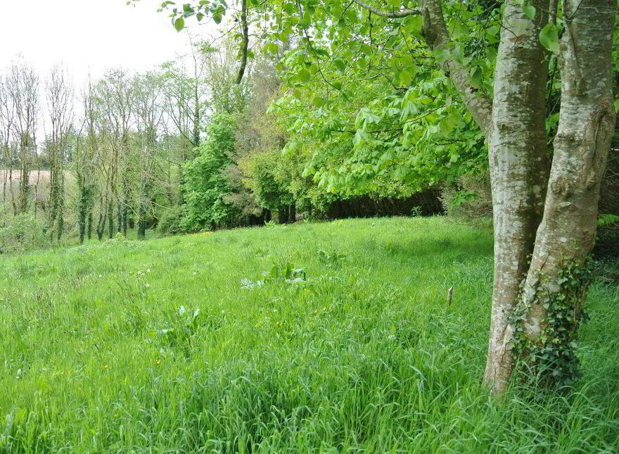 Castletreasure, Douglas, Rathmacullig, T12TDC9