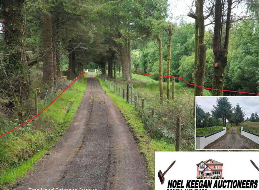 Cortober, Ballinaglera, Dowra, Ballinagleragh, N41PW24