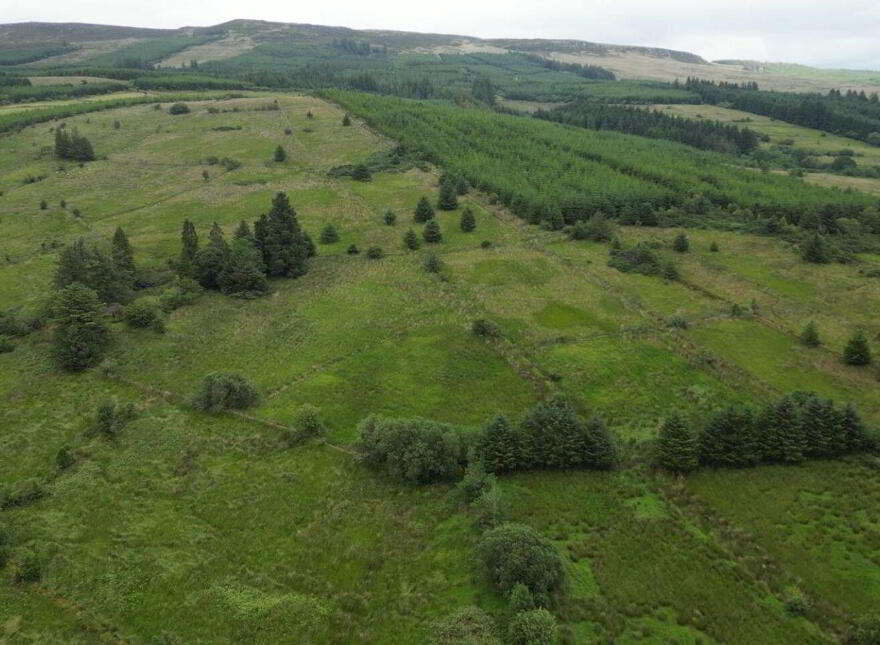 Cortober, Ballinaglera, Dowra, Ballinagleragh, N41PW24