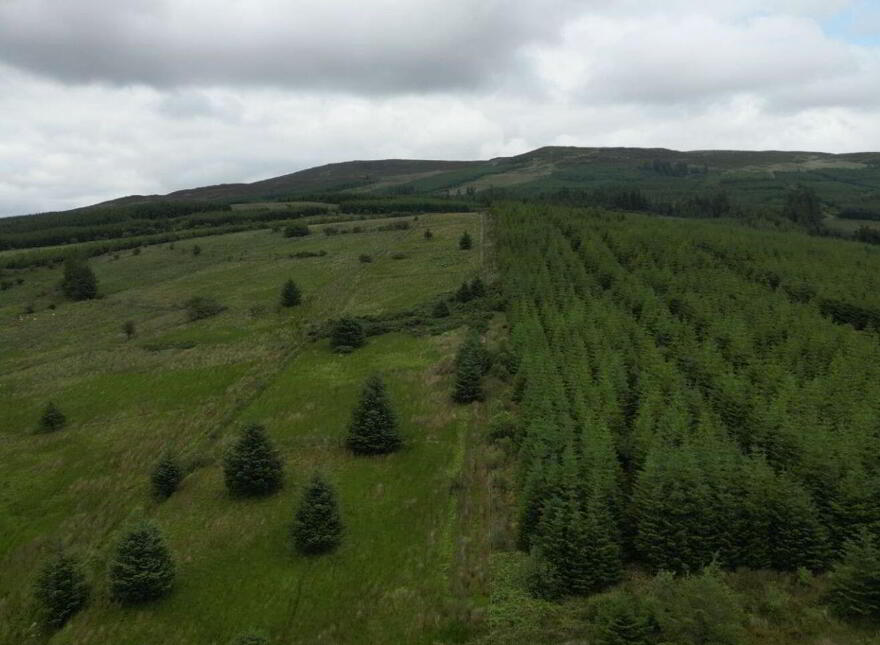 Cortober, Ballinaglera, Dowra, Ballinagleragh, N41PW24