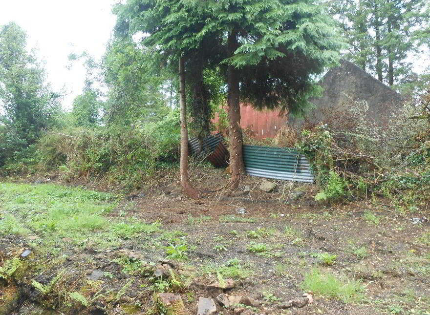 Cortober, Ballinaglera, Dowra, Ballinagleragh, N41PW24
