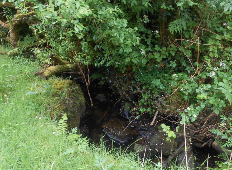Cortober, Ballinaglera, Dowra, Ballinagleragh, N41PW24