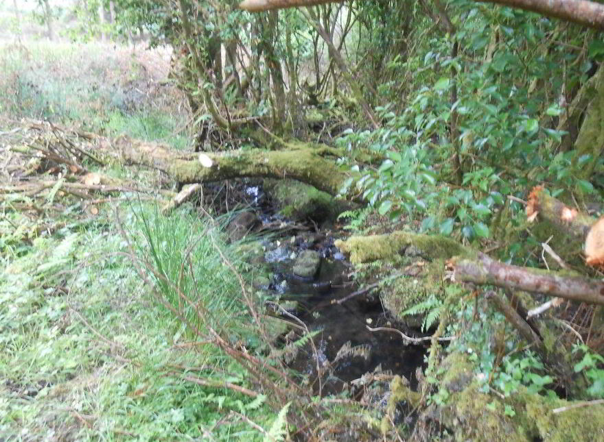Cortober, Ballinaglera, Dowra, Ballinagleragh, N41PW24