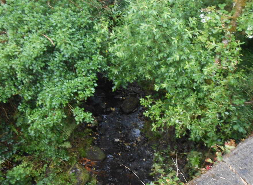 Cortober, Ballinaglera, Dowra, Ballinagleragh, N41PW24