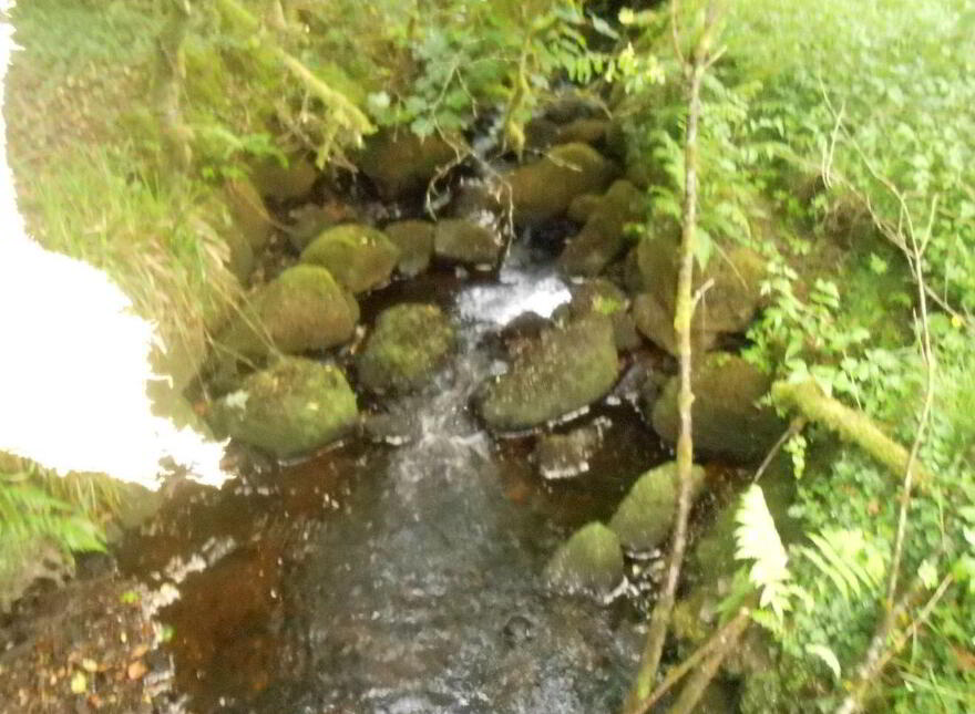 Cortober, Ballinaglera, Dowra, Ballinagleragh, N41PW24
