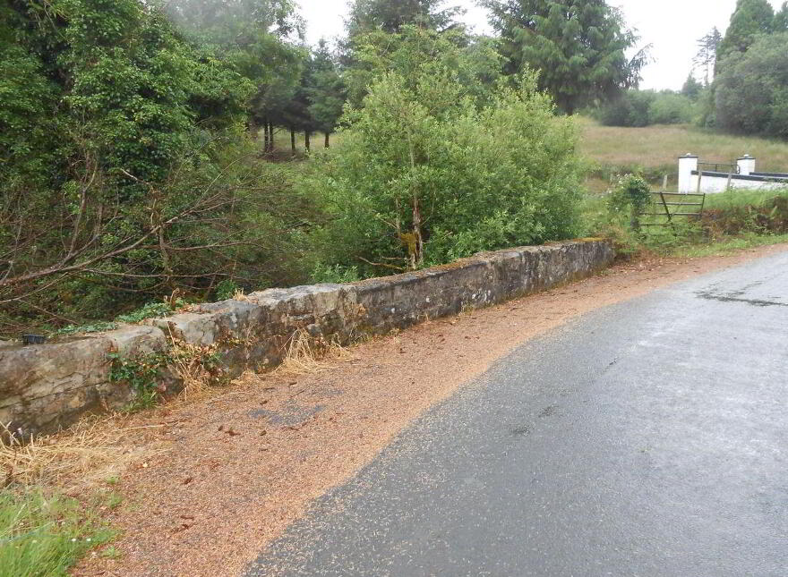 Cortober, Ballinaglera, Dowra, Ballinagleragh, N41PW24