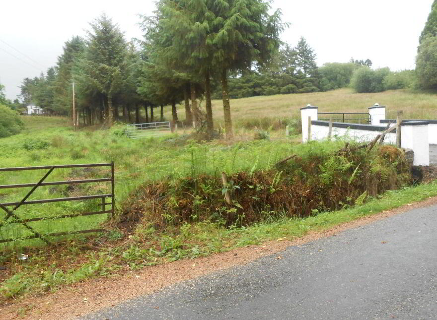 Cortober, Ballinaglera, Dowra, Ballinagleragh, N41PW24