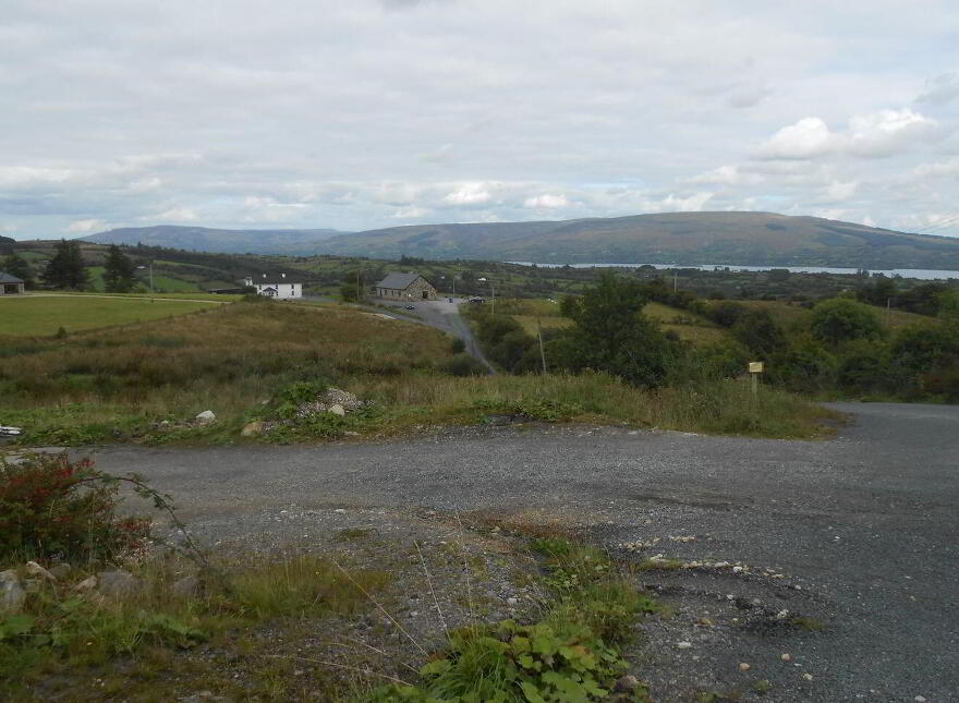 Rover, Arigna