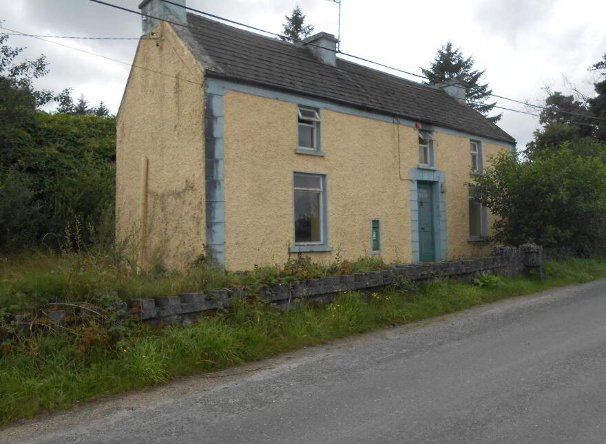 Rover, Arigna