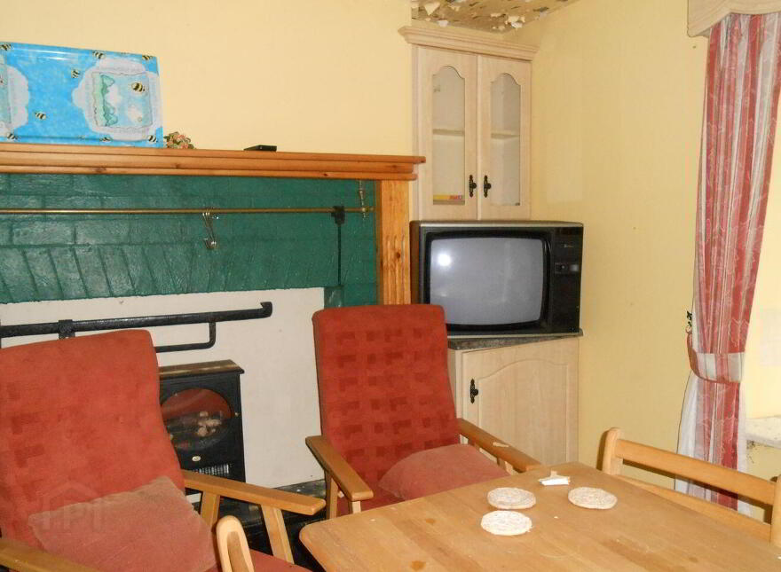 Rover, Arigna