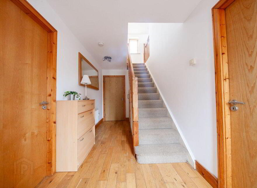 Castlegate Park, Adamstown Castle, Adamstown, K78H304
