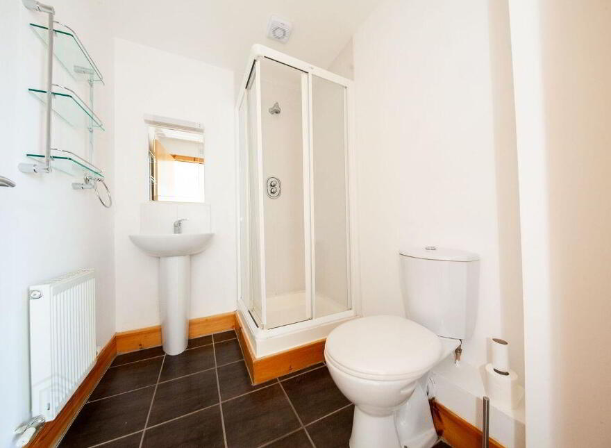 Castlegate Park, Adamstown Castle, Adamstown, K78H304