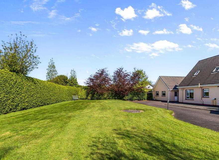 Fiodhnach, Lisheenowen, Whitechurch, T34K544
