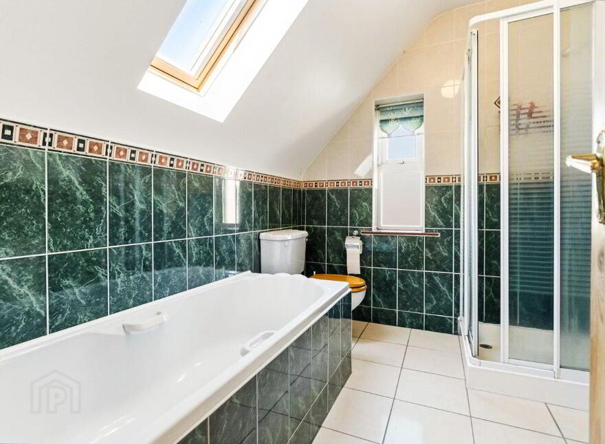 Fiodhnach, Lisheenowen, Whitechurch, T34K544