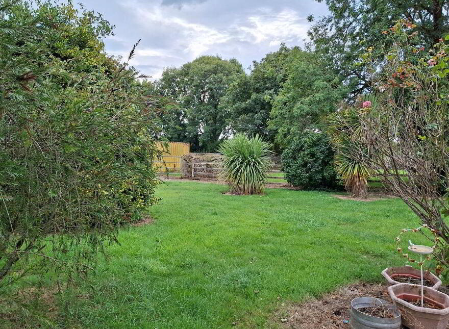 Knockadoon, O'Callaghans Mills, O'Callaghans Mills, V95F7D4