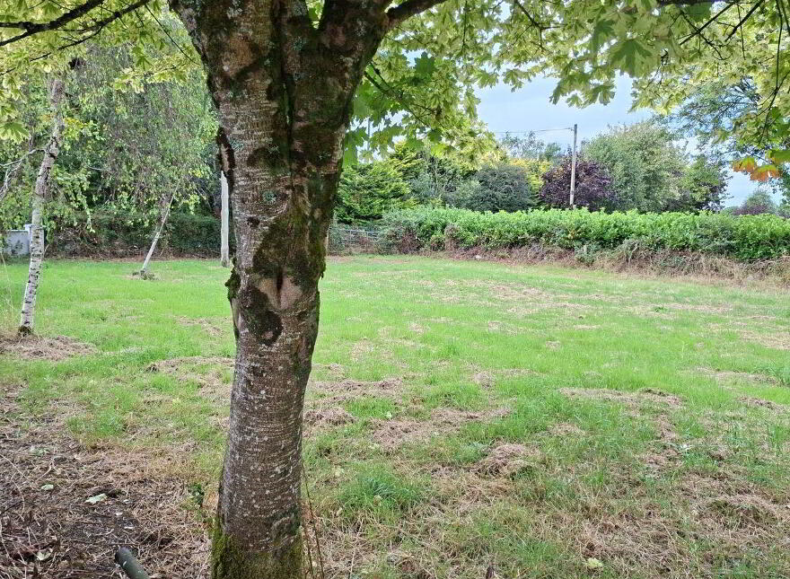 Knockadoon, O'Callaghans Mills, O'Callaghans Mills, V95F7D4