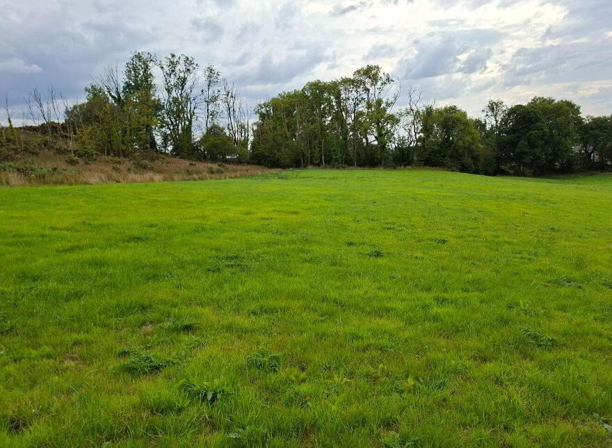 Knockadoon, O'Callaghans Mills, O'Callaghans Mills, V95F7D4