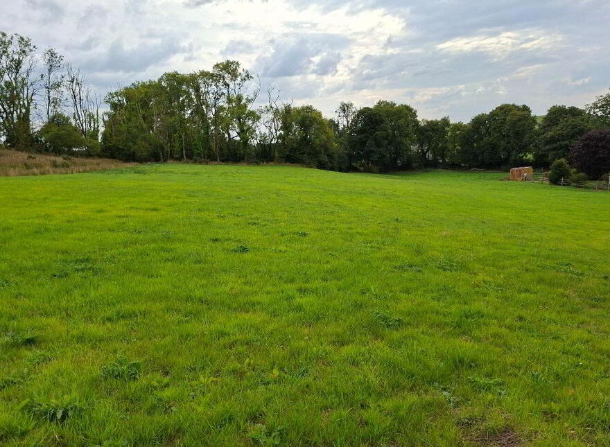 Knockadoon, O'Callaghans Mills, O'Callaghans Mills, V95F7D4