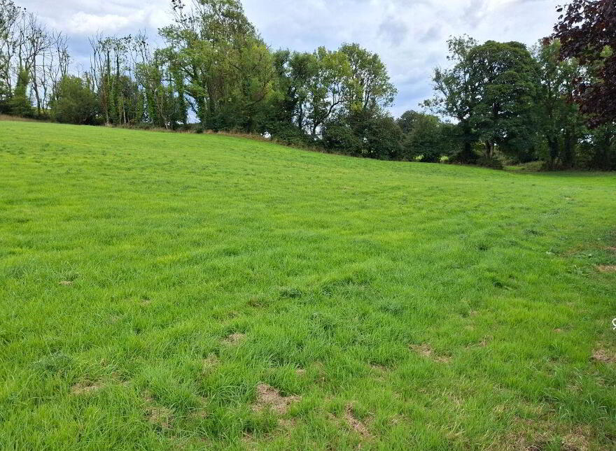Knockadoon, O'Callaghans Mills, O'Callaghans Mills, V95F7D4