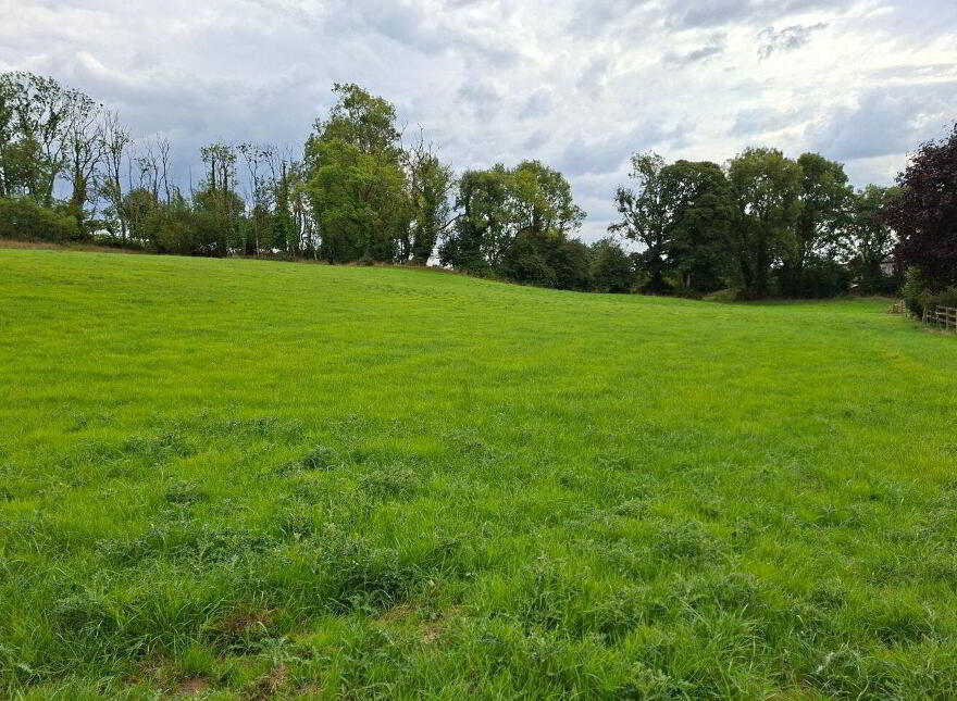Knockadoon, O'Callaghans Mills, O'Callaghans Mills, V95F7D4