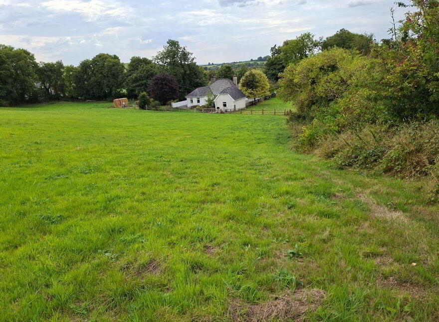 Knockadoon, O'Callaghans Mills, O'Callaghans Mills, V95F7D4