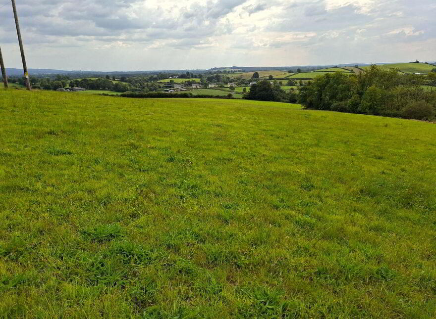 Knockadoon, O'Callaghans Mills, O'Callaghans Mills, V95F7D4