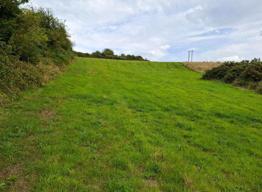Knockadoon, O'Callaghans Mills, O'Callaghans Mills, V95F7D4