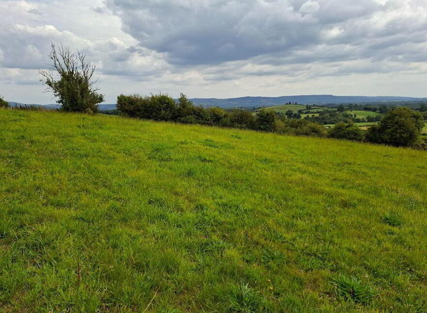 Knockadoon, O'Callaghans Mills, O'Callaghans Mills, V95F7D4
