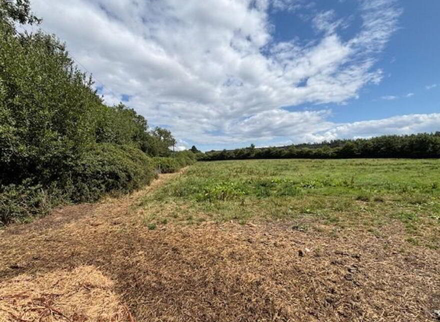 Annaholty, Birdhill, V94W704