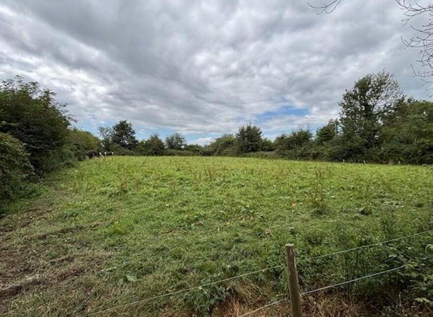 Annaholty, Birdhill, V94W704