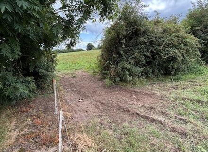 Annaholty, Birdhill, V94W704