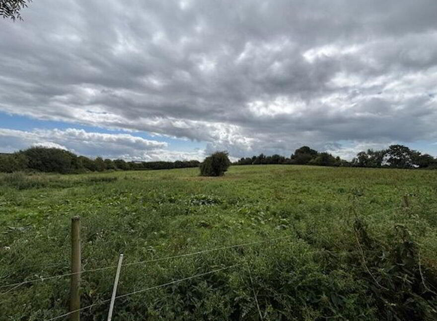 Annaholty, Birdhill, V94W704