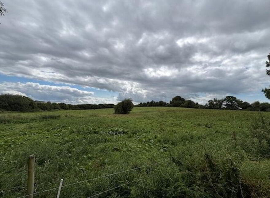 Annaholty, Birdhill, V94W704