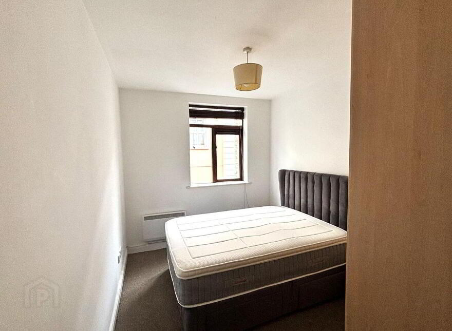 Apartment 2 55/56 Francis Street, Christchurch, Christchurch, D08K4X9