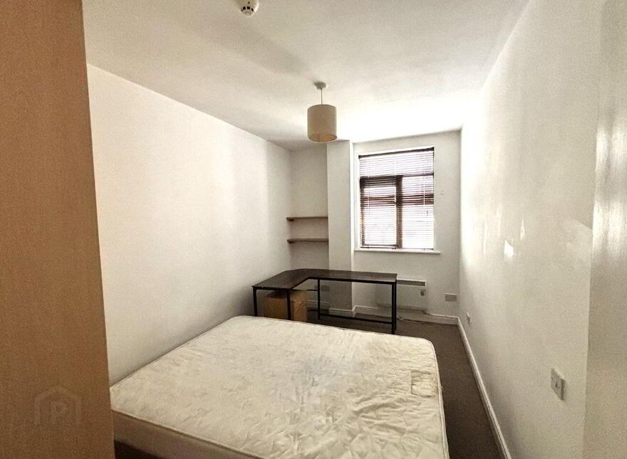 Apartment 2 55/56 Francis Street, Christchurch, Christchurch, D08K4X9