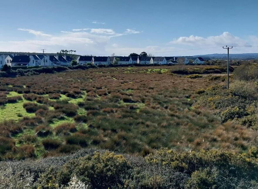 Grange Big, Rosslare Strand