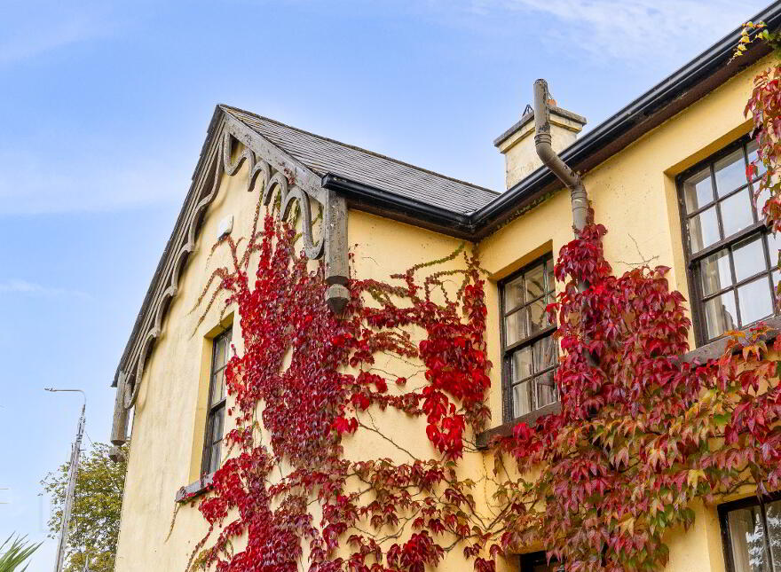 Bluebell Lodge, Old Dublin Road, Carlow Town, R93RR83