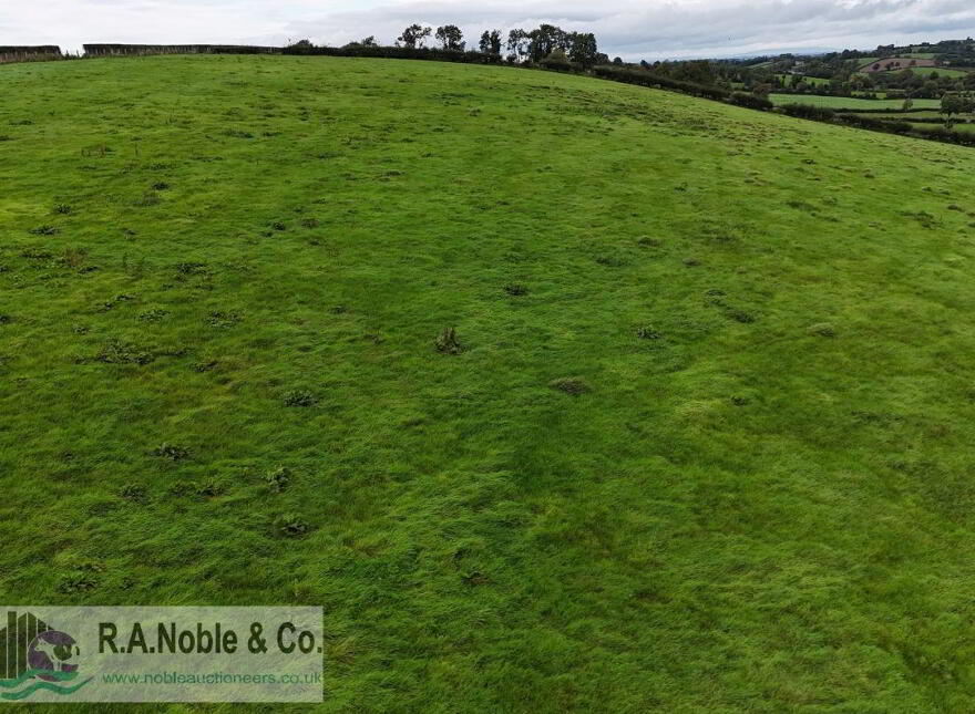 C. 14.8 Acre Holding, Sheetrim Road, Drumhillery, BT60 3LH