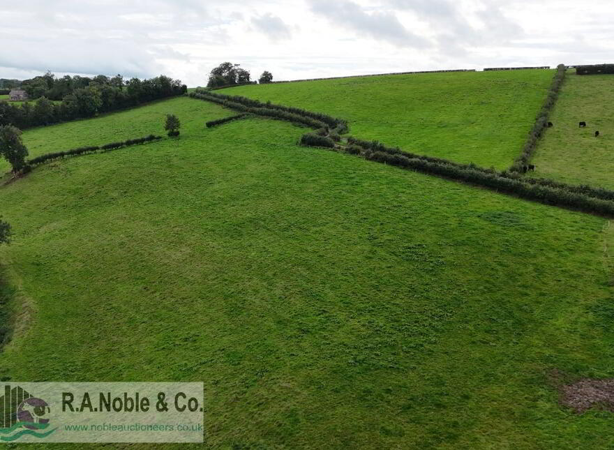 C. 14.8 Acre Holding, Sheetrim Road, Drumhillery, BT60 3LH