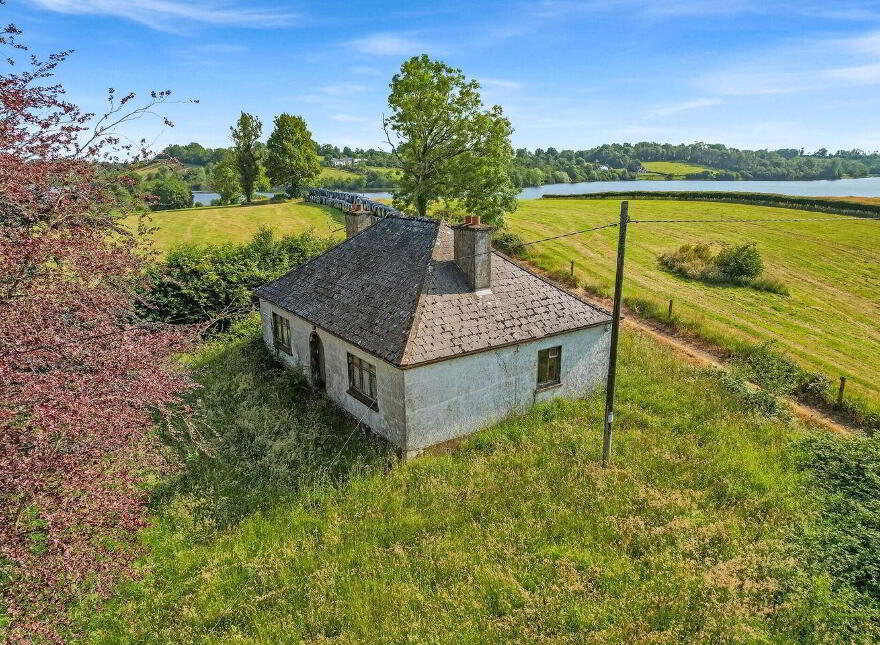 Cordalea, Killeshandra, H12E296 photo