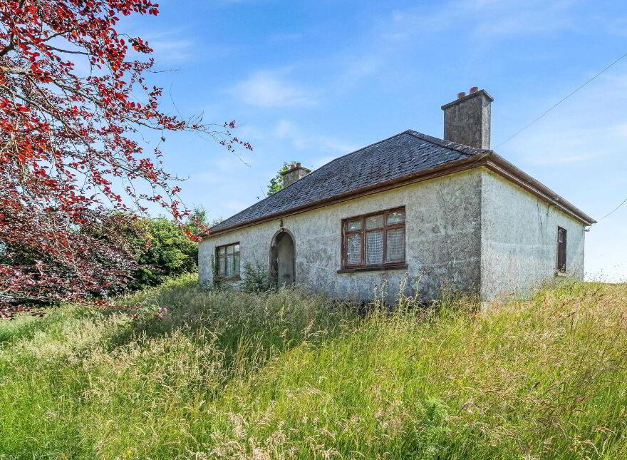 Cordalea, Killeshandra, H12E296