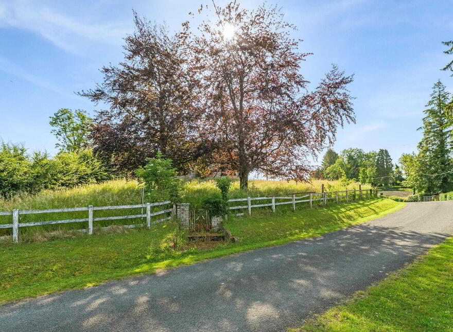 Cordalea, Killeshandra, H12E296
